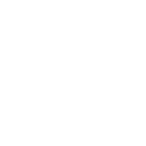 DOMUS_logo_principal_blanco